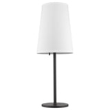 Antique Bronze and White Table Lamp