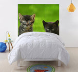 1 x 48 x 72 Multi Color Wood Canvas Curious Cat  Screen
