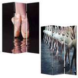 1" x 48" x 72" Multi Color Wood Canvas Ballet  Screen