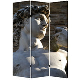 1" x 48" x 72" Multi Color Wood Canvas Rome  Screen