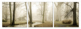 24' Multicolor Canvas 3 Panels Photo