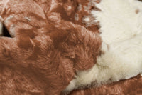 5.25'7.5' Faux Cow Hide Brown And Ivory Area Rug