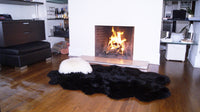 48" x 72" x 2" Chocolate Quattro Sheepskin - Area Rug