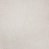 8'x10' Ivory Indoor Shag Rug