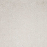 8'x10' Ivory Indoor Shag Rug