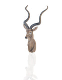 13" x 9" x 33" Antelope Head Wall Decorative