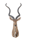 13" x 9" x 33" Antelope Head Wall Decorative