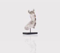 Vintage Look Off White Horse Head Statue