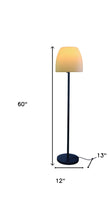 12 X 13 X 60 Metal Floor Lamp