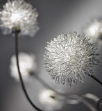 Aluminum Dandelion Floor Lamp