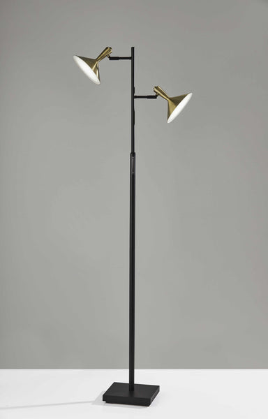 Double Brass Spotlight LED Floor Lamp in Black Metal