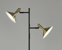 Double Brass Spotlight LED Floor Lamp in Black Metal