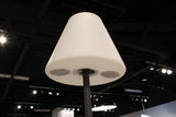 67 X 12 X 15 Multi  PE Plastic Solar LED Lamp