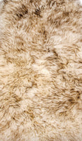 2' x 3' Ivory New Zealand Natural Sheepskin Rug