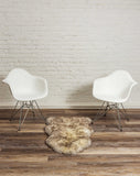 2' x 3' Ivory New Zealand Natural Sheepskin Rug