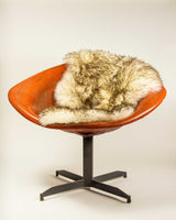 2' x 3' Ivory New Zealand Natural Sheepskin Rug