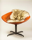 2' x 3' Ivory New Zealand Natural Sheepskin Rug