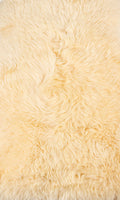 2' x 3' Ivory New Zealand Natural Sheepskin Rug