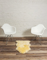 2' x 3' Ivory New Zealand Natural Sheepskin Rug
