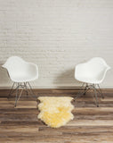 2' x 3' Ivory New Zealand Natural Sheepskin Rug