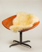 2' x 3' Ivory New Zealand Natural Sheepskin Rug