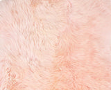 2' x 3' Ivory New Zealand Natural Sheepskin Rug