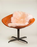2' x 3' Ivory New Zealand Natural Sheepskin Rug