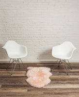 2' x 3' Ivory New Zealand Natural Sheepskin Rug