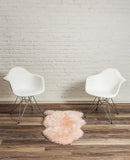 2' x 3' Ivory New Zealand Natural Sheepskin Rug