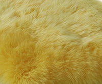 2' x 3' Ivory New Zealand Natural Sheepskin Rug