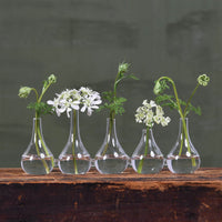 Quintuplet Set of Five Joined Glass Posy Vases