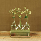 Trio Set of Three Joined Glass Posy Vases