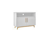 Modern White and Natural Two Door Console Table