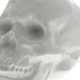 White Ceramic Skull Sculpture