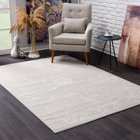 4? x 6? Modern Gray Distressed Area Rug