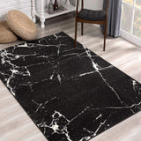 7? x 9? Black and White Abstract Breakage Area Rug