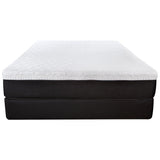 10.5' Lux Gel Infused Memory Foam and High Density Foam Mattress King