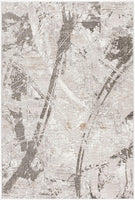 4? x 6? Gray and Ivory Abstract Organic Area Rug