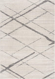 2? x 4? Gray Modern Abstract Pattern Area Rug