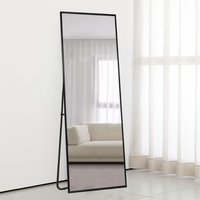 Gold Aluminum Framed Mirror