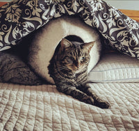 Charcoal and White Cat Cave Bed