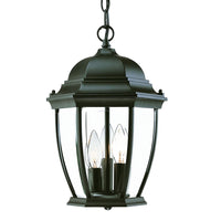 Three Light Matte Black Wide Lantern Hanging Light