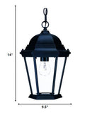 Matte Black Domed Glass Lantern Hanging Light