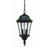 Two Light Brown Carousel Lantern Hanging Light
