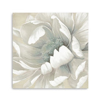 20" Soft Winter Flower in Bloom Canvas Wall Art