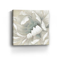 20" Soft Winter Flower in Bloom Canvas Wall Art