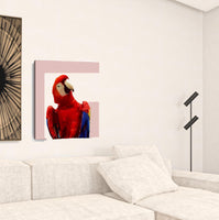 20" Vibrant and Vivid Bird Canvas Wall Art