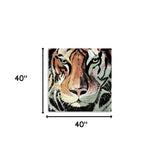 20" Staring Tiger Portrait Canvas Wall Art