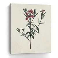 20" Singular Red Blossom Branch Canvas Wall Art