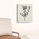 20" Singular Red Blossom Branch Canvas Wall Art